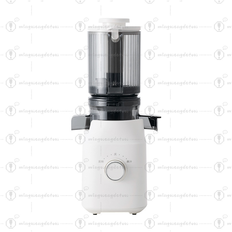 Cold Press Juicer - Slow Masticating Juicer with Pulp and