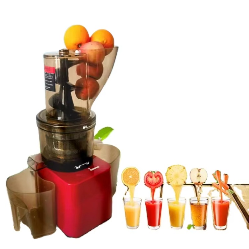 Stainless Steel Fruit Vegetabl – Cold Press Juicer Bewertung und Preis
