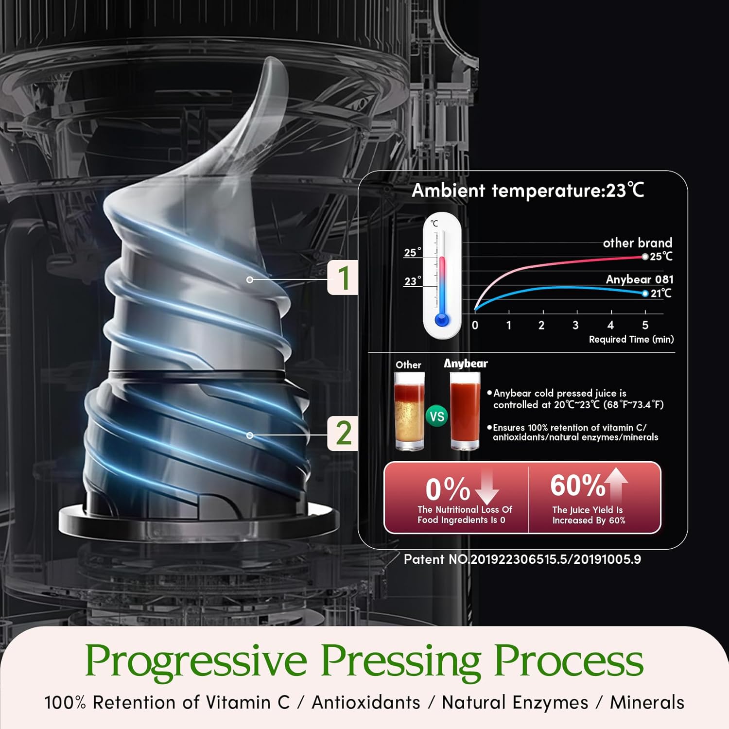 Cold Press Juicer with 4.9