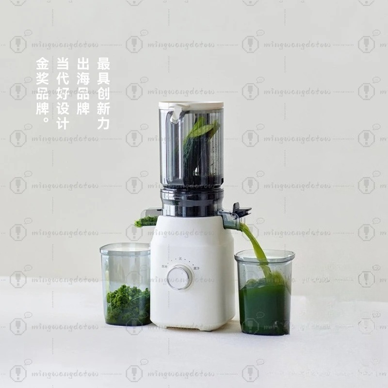 Slow Masticating Juicer with P – Cold Press Juicer Bewertung und Preis