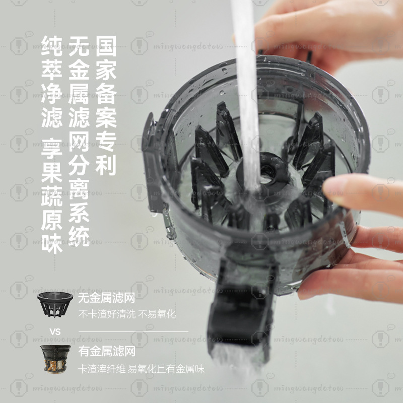 Slow Masticating Juicer with P – Cold Press Juicer Bewertung und Preis