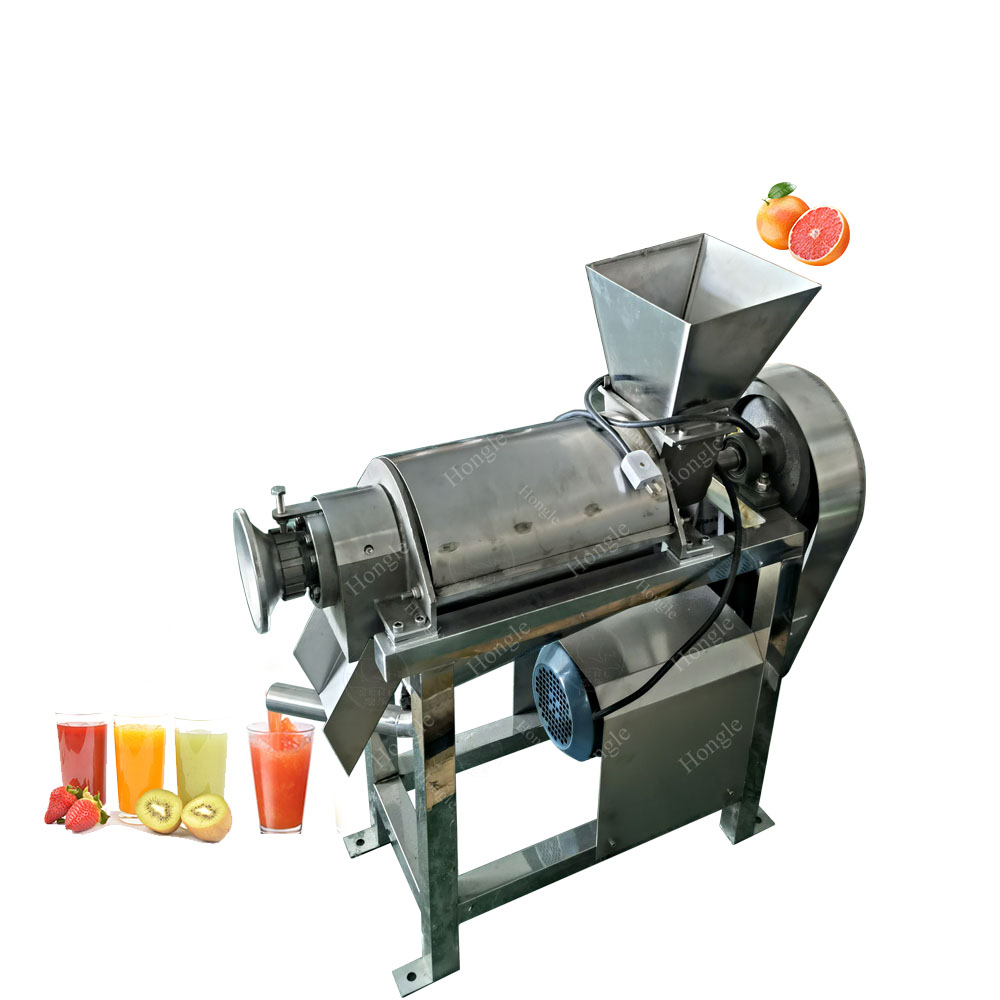Hot Selling Masticating Juicer – Cold Press Juicer Bewertung und Preis