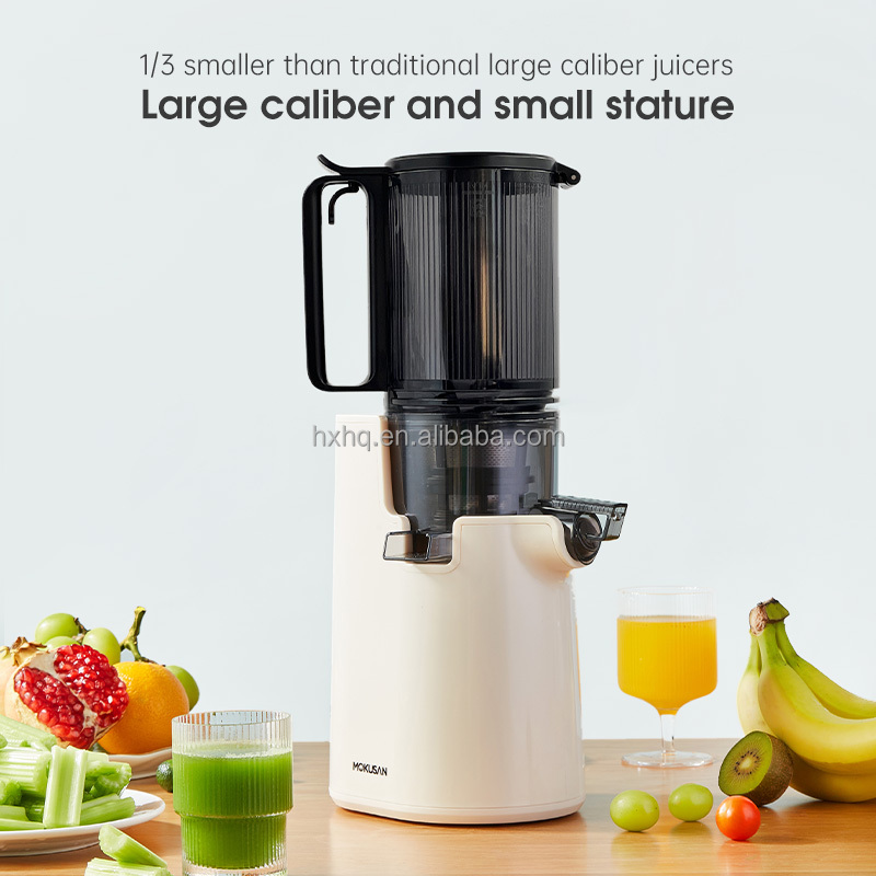 Hot Sale Big Mouth Cold Press  – Cold Press Juicer Bewertung und Preis